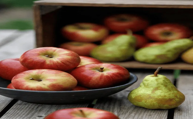 Apple vs. Pear: Which Fruit Actually Helps You Lose More Weight?